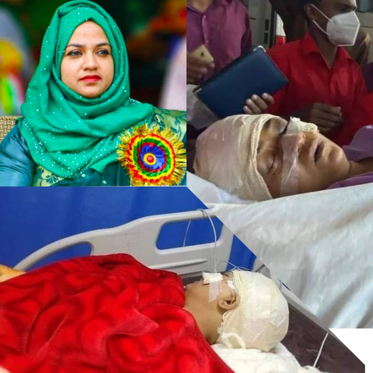 ইউএনও ওয়াহিদা খানমের ওপর হামলা মামলায় আটক ২...