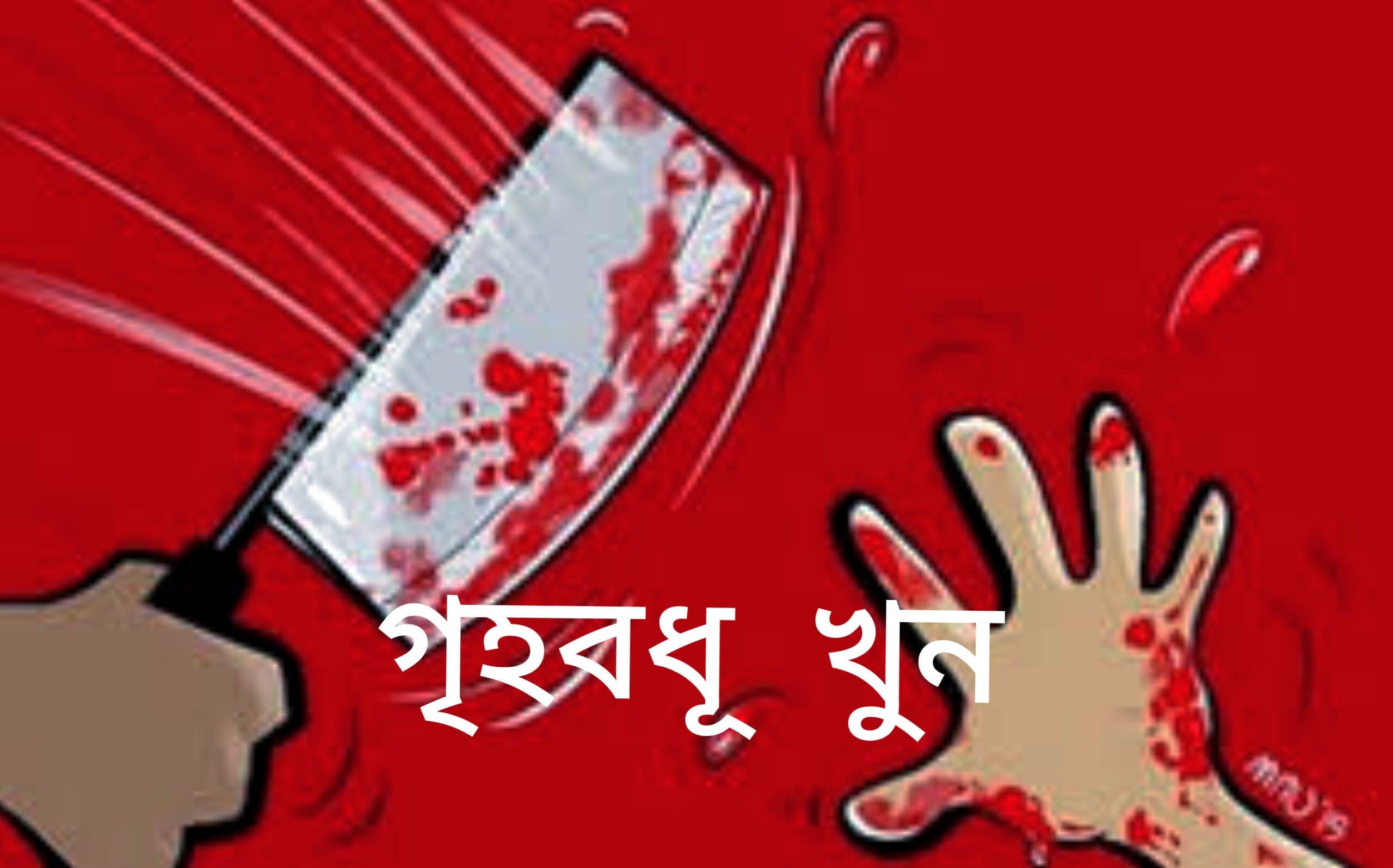 রাজধানীর সবুজবাগে চোরের হাতে গৃহবধূ খুন...