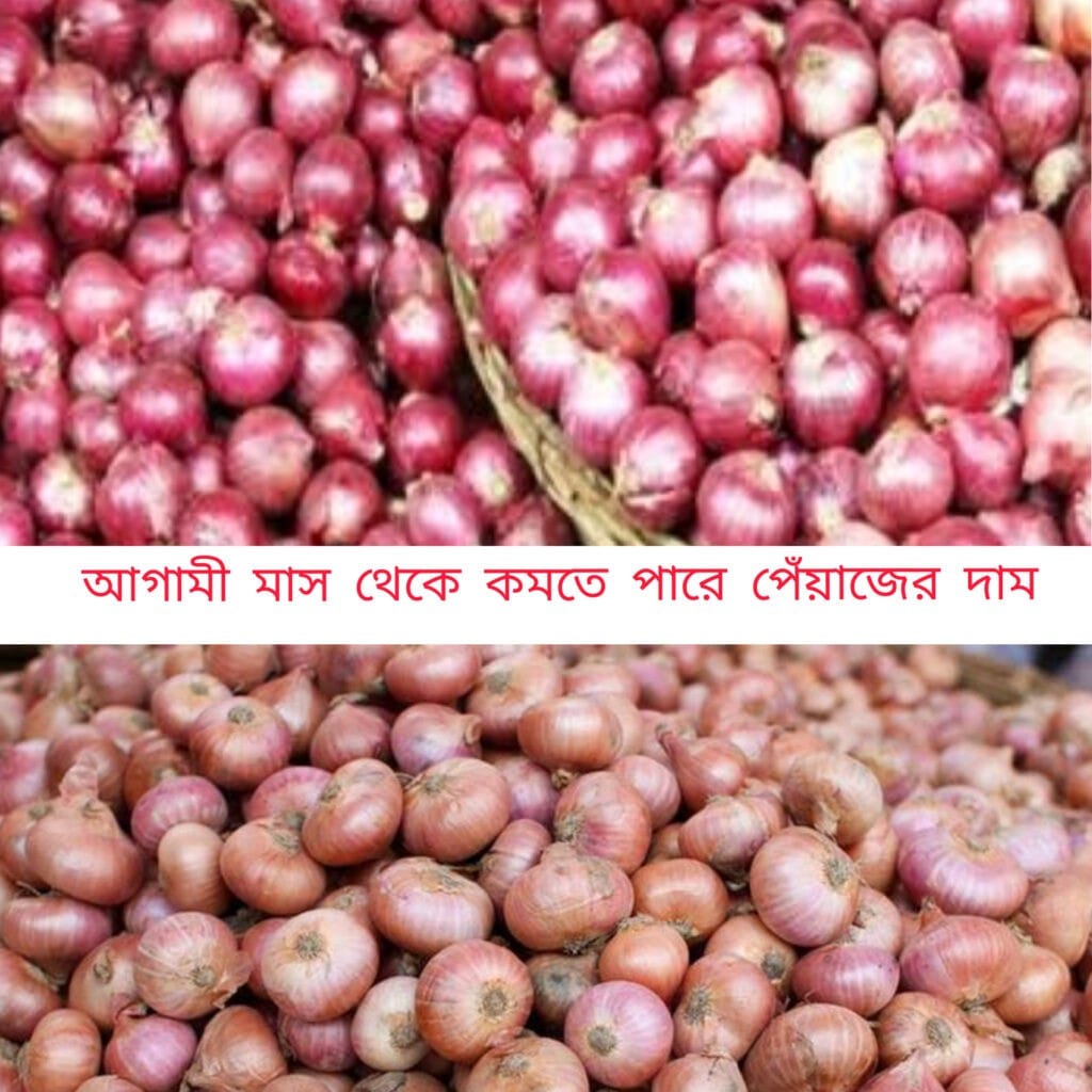 ৫০ হাজার টন পেঁয়াজ আমদানি করবেন: এস আলম গ্রুপ