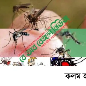 মশার উপদ্রব | ওষুধের মান ও কার্যকারিতা নিয়ে প্রশ্ন দেখা দিয়েছেঃ চসিক মেয়র মশার উপদ্রব | ওষুধের মান ও কার্যকারিতা নিয়ে প্রশ্ন দেখা দিয়েছেঃ চসিক মেয়র
