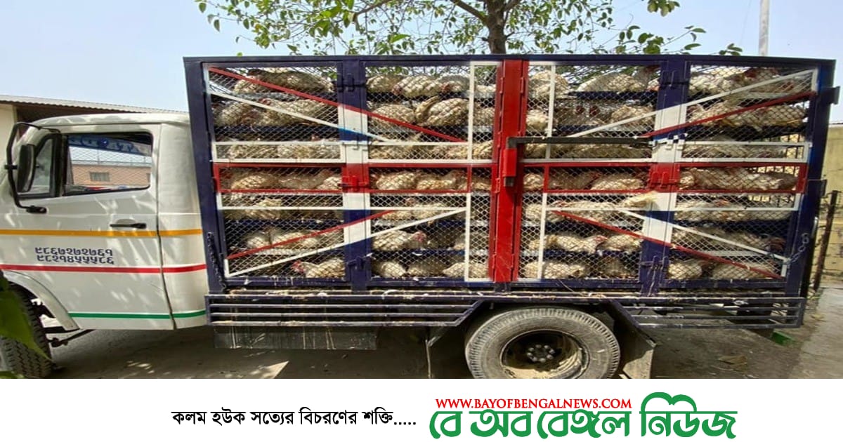 মুরগির খাঁচায় ঢাকা ছাড়ছেন মানুষ মুরগির খাঁচায় ঢাকা ছাড়ছেন মানুষ