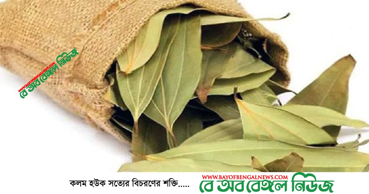 করোনাকালে তেজপাতা হতে পারে জীবনরক্ষাকারী করোনাকালে তেজপাতা হতে পারে জীবনরক্ষাকারী