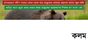 পাহাড়ে ভাল্লুকের কামড়ে জুম চাষি গুরুতর আহত পাহাড়ে ভাল্লুকের কামড়ে জুম চাষি গুরুতর আহত