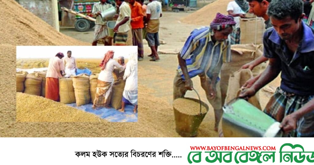 মিল মালিকদের কাছে ২৭ টাকায় ধান, ৪০ টাকায় চাল কিনবে সরকার মিল মালিকদের কাছে ২৭ টাকায় ধান, ৪০ টাকায় চাল কিনবে সরকার-