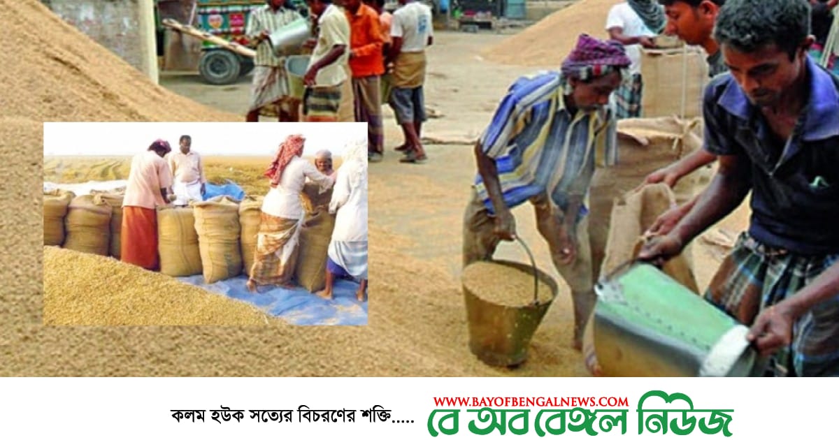 মিল মালিকদের কাছে ২৭ টাকায় ধান, ৪০ টাকায় চাল কিনবে সরকার-