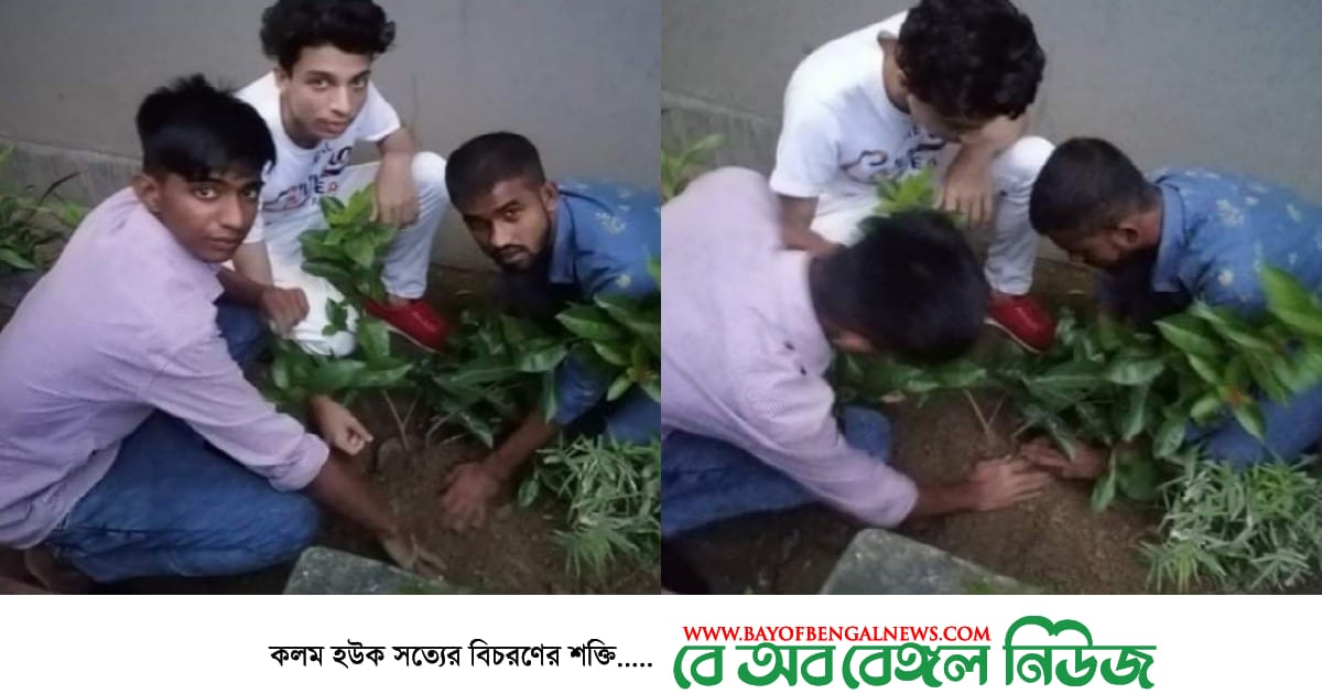 শেখ হাসিনার জন্মদিনে ১৫নং বাগমনিরাম ওয়ার্ড ছাত্রলীগের বৃক্ষরোপন