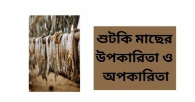 শুটকি মাছের উপকারিতা ও অপকারিতা