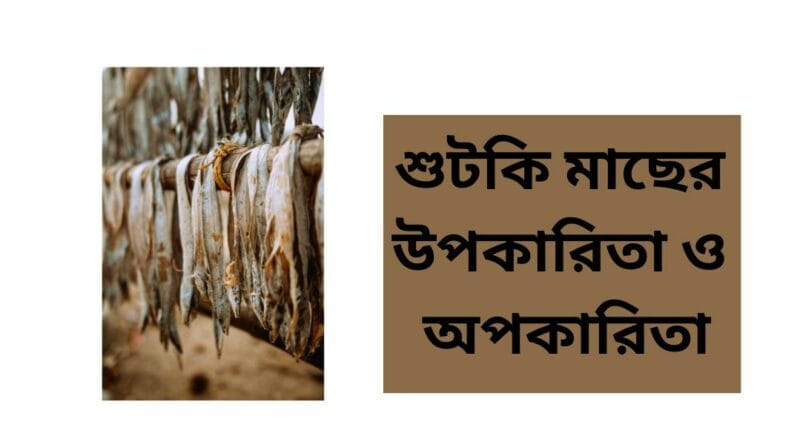 শুটকি মাছের উপকারিতা ও অপকারিতা